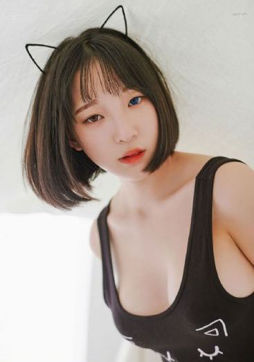 神圣骑士