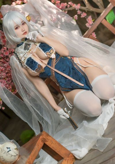 恶魔高校d×d