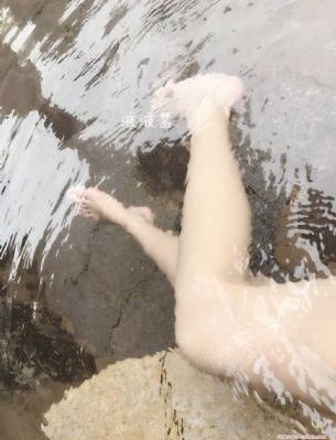 与犯罪的战争在线观看免费版高清