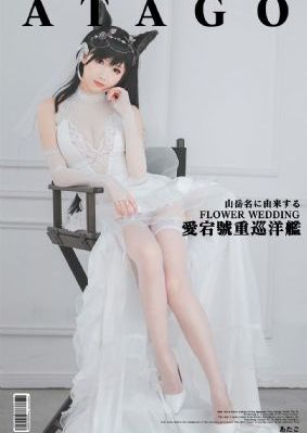 马达加斯加的企鹅电影