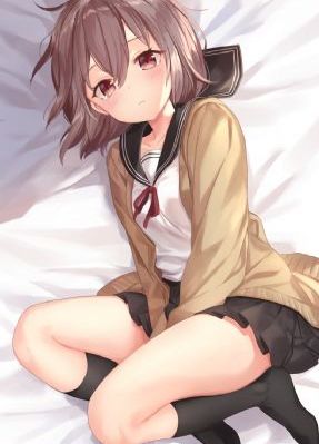 虎妈猫爸电视剧