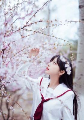 飞行家 电影